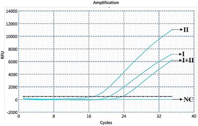 Establishment of a Dual Real-Time PCR Assay for the Identification of African Swine Fever Virus Genotypes I and II in China